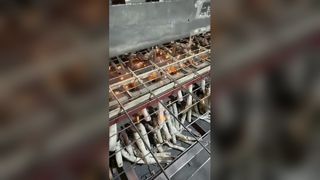 How Welded Wire Mesh/ Wire Mesh Fence Work?